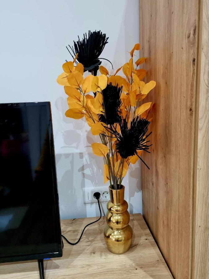 Retro Chic Studio Пула Екстериор снимка